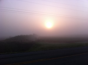 Fog in Henderson County KY