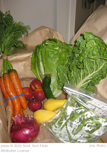 Cullenook Farm Locally Grown Produce